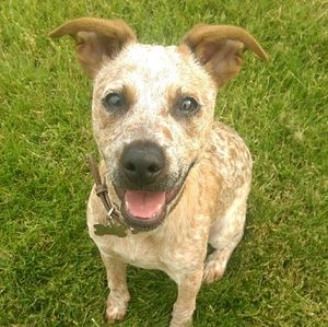 Meet your Posher, Jillian